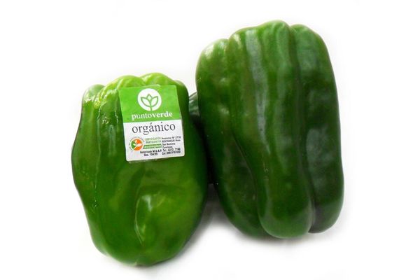 Morrón Verde Orgánico PUNTO VERDE (Kg) en Tienda Inglesa