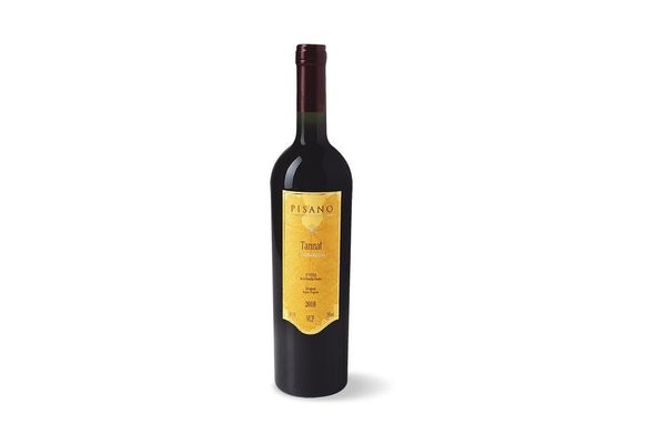 Vino PISANO Tinto Tannat 750 ml en Tienda Inglesa