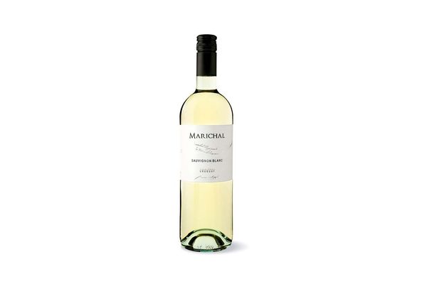 Vino MARICHAL Premium Blanco Sauvignon Blanc 750 ml en Tienda Inglesa