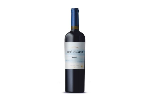 Vino JOSÉ IGNACIO  Merlot 750ml en Tienda Inglesa