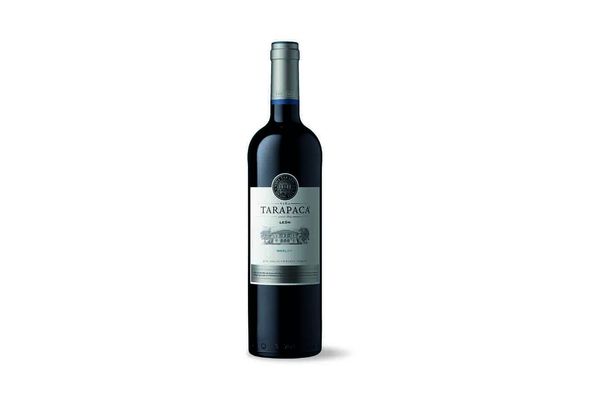 Vino TARAPACÁ Leon Tinto Merlot 750 ml en Tienda Inglesa