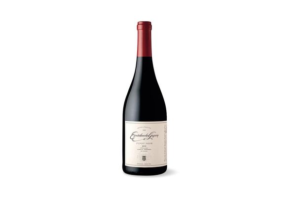Vino ESCORIHUELA GASCÓN Tinto Pinot Noir 750 ml en Tienda Inglesa