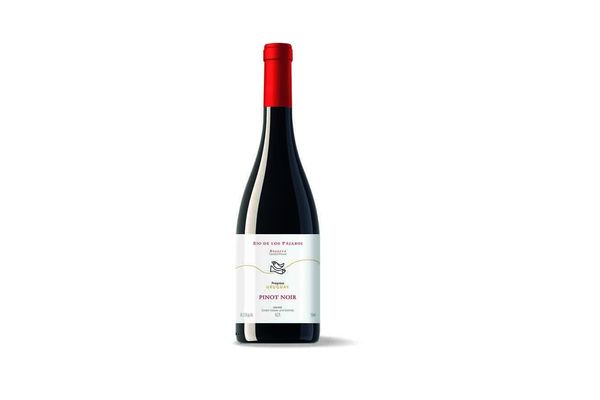 Vino RÍO DE LOS PÁJAROS Reserve Tinto Pinot Noir 750 ml en Tienda Inglesa