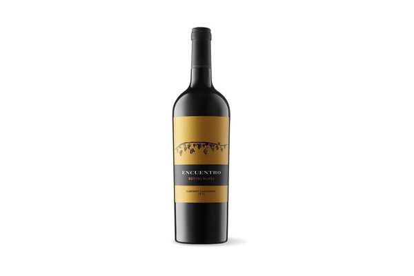 Vino RUTINI Encuentro Cabernet Sauvignon 750 ml en Tienda Inglesa