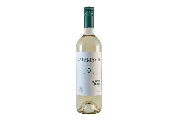 Vino CATAMAYOR Blanc de Blancs 750 ml en Tienda Inglesa