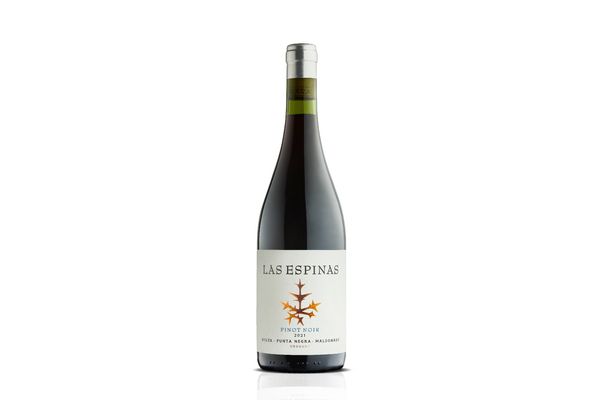 Vino BOUZA Las Espinas Tinto Pinot Noir 750 ml en Tienda Inglesa