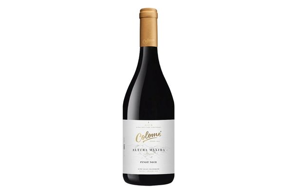 Vino COLOMÉ Altura Máxima Tinto Pinot Noir 750 ml en Tienda Inglesa