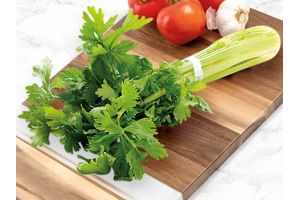 Apio Planta TIENDA INGLESA Unidad en Tienda Inglesa