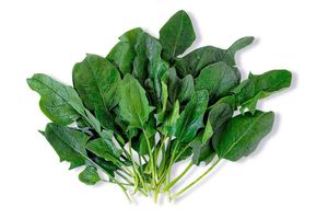 Espinaca Envasada 320 gr en Tienda Inglesa