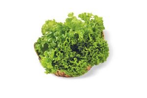 Lechuga Crespa Blanca TIENDA INGLESA por Unidad en Tienda Inglesa