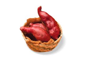 Boniato (Kg) en Tienda Inglesa