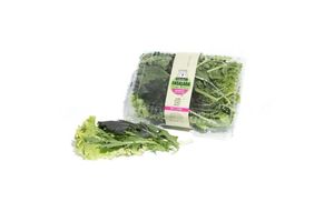 Ensalada de Mizuna, Mostaza, Lechuga y Rúcula Pronta para Consumir Tri... en Tienda Inglesa