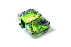 Ensalada DUO  150 gr en Tienda Inglesa