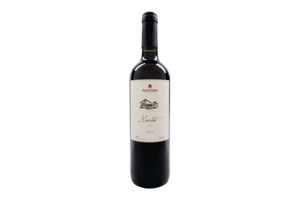 Vino FILGUEIRA Tinto Merlot 750 ml en Tienda Inglesa