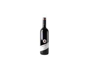 Vino Tinto Malbec JUAN CARRAU 750 ml en Tienda Inglesa