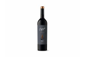 Vino CAFAYATE Reserva Tinto Malbec 750 ml en Tienda Inglesa