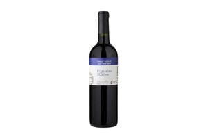 Vino FILGUEIRA 20 años Tannat 750 ml en Tienda Inglesa