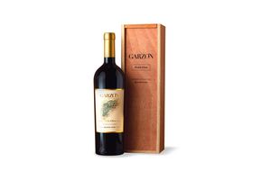 Vino GARZON Petit Clos Cabernet Franc 750 ml en Tienda Inglesa