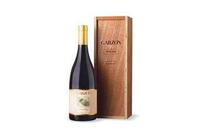 Vino GARZÓN Petit Clos Albariño 750 ml en Tienda Inglesa