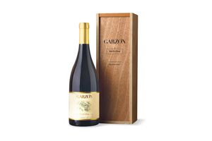 Vino GARZÓN Petit Clos Tinto Marselan 750 ml en Tienda Inglesa