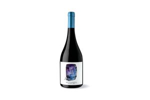 Vino Botteaperto ENTUSIASTAS 750 ml en Tienda Inglesa