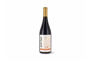 Vino CASTEL PUJOL Altos Tinto Marselán 750 ml en Tienda Inglesa