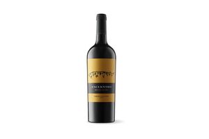 Vino RUTINI Encuentro Cabernet Sauvignon 750 ml en Tienda Inglesa