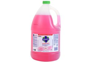Limpiador Líquido Desinfectante de Superficies LYSOFORM Floral 4 L en Tienda Inglesa