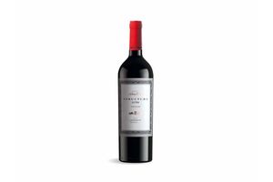 Vino Structura Ultra NAVARRO CORREAS 750 ml en Tienda Inglesa