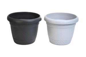 Scatola Multiuso Stefanplast Visualbox - Trasparente, XL 39x29x17 Cm, Chiusura A Scatto