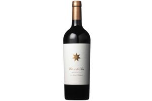 Vino CLOS DE LOS SIETE Tinto Malbec 750 ml en Tienda Inglesa