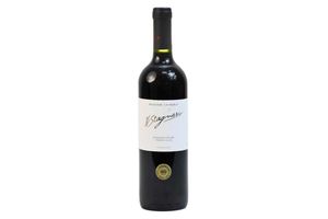 Vino H. STAGNARI Cabernet Franc 750 ml en Tienda Inglesa