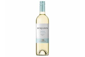 Vino Benjamín NIETO SENETINER Blanco Dulce 750 ml en Tienda Inglesa