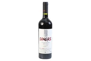 Vino H. STAGNARI Pura Sangre en Tienda Inglesa
