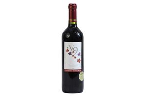 Vino V9 Varietal Cabernet Sauvignon en Tienda Inglesa