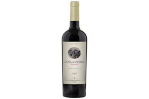 Vino CUNA DE PIEDRA Estate Tinto Tannat 750 ml en Tienda Inglesa