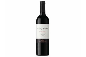 Vino NIETO SENETINER Benjamín Tinto Tempranillo 750 ml en Tienda Inglesa