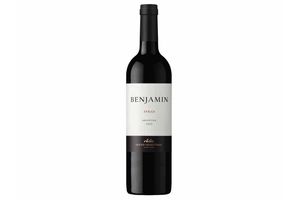 Vino NIETO SENETINER Benjamín Tinto Syrah 750 ml en Tienda Inglesa