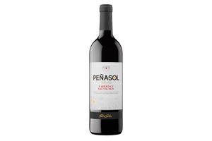 Vino PEÑASOL Selección Tinto Cabernet Sauvignon 750 ml en Tienda Inglesa