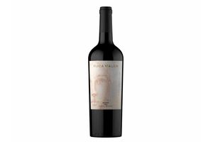 Vino RUCA MALEN Capítulo Uno Tinto Malbec 750 ml en Tienda Inglesa