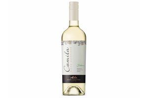 Vino NIETO SENETINER Camila Blanco Chardonnay 750 ml en Tienda Inglesa
