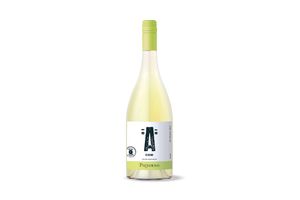 Vino MAYÚSCULAS Blanco Albariño 750 ml en Tienda Inglesa