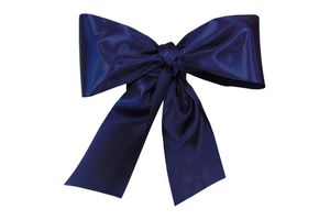 Moña Escolar Acrocel en Tienda Inglesa