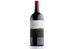 Vino BOUZA Parcela Única B6 Tinto Tannat 2013 750 ml en Tienda Inglesa