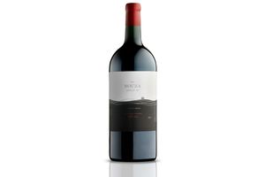 Vino BOUZA Parcela Única B9 Tinto Merlot 2019 750 ml en Tienda Inglesa